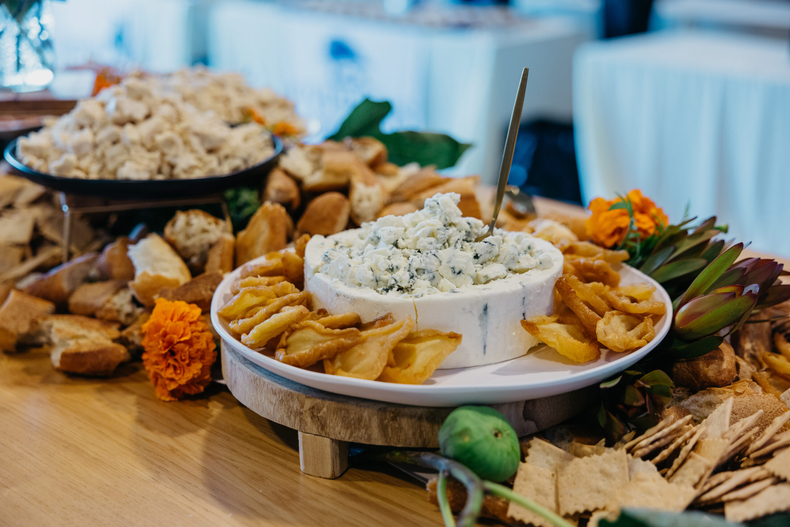 20240920_CheeseFest-2